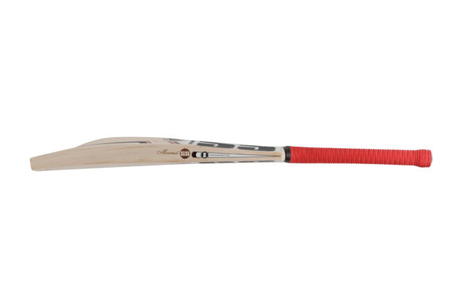 SS Professional English Willow Cricket Bat - SH