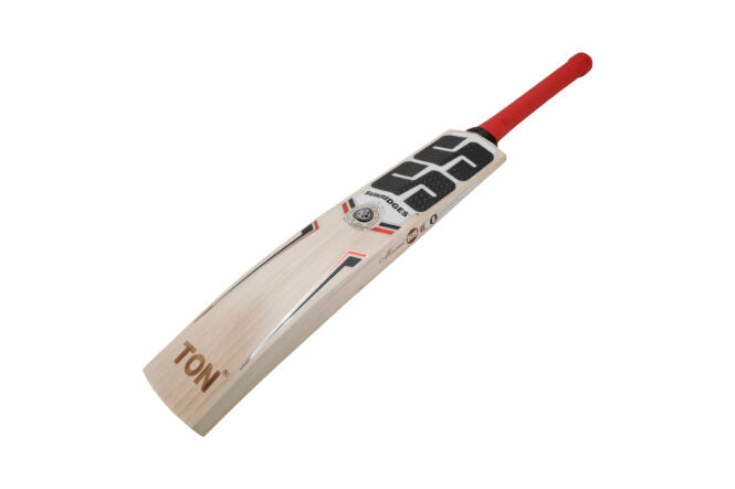 SS Professional English Willow Cricket Bat - SH