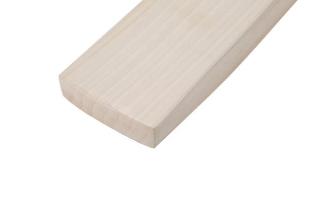 SS Professional English Willow Cricket Bat - SH