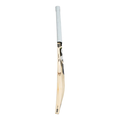 SG HP T-20 English Willow Cricket bat